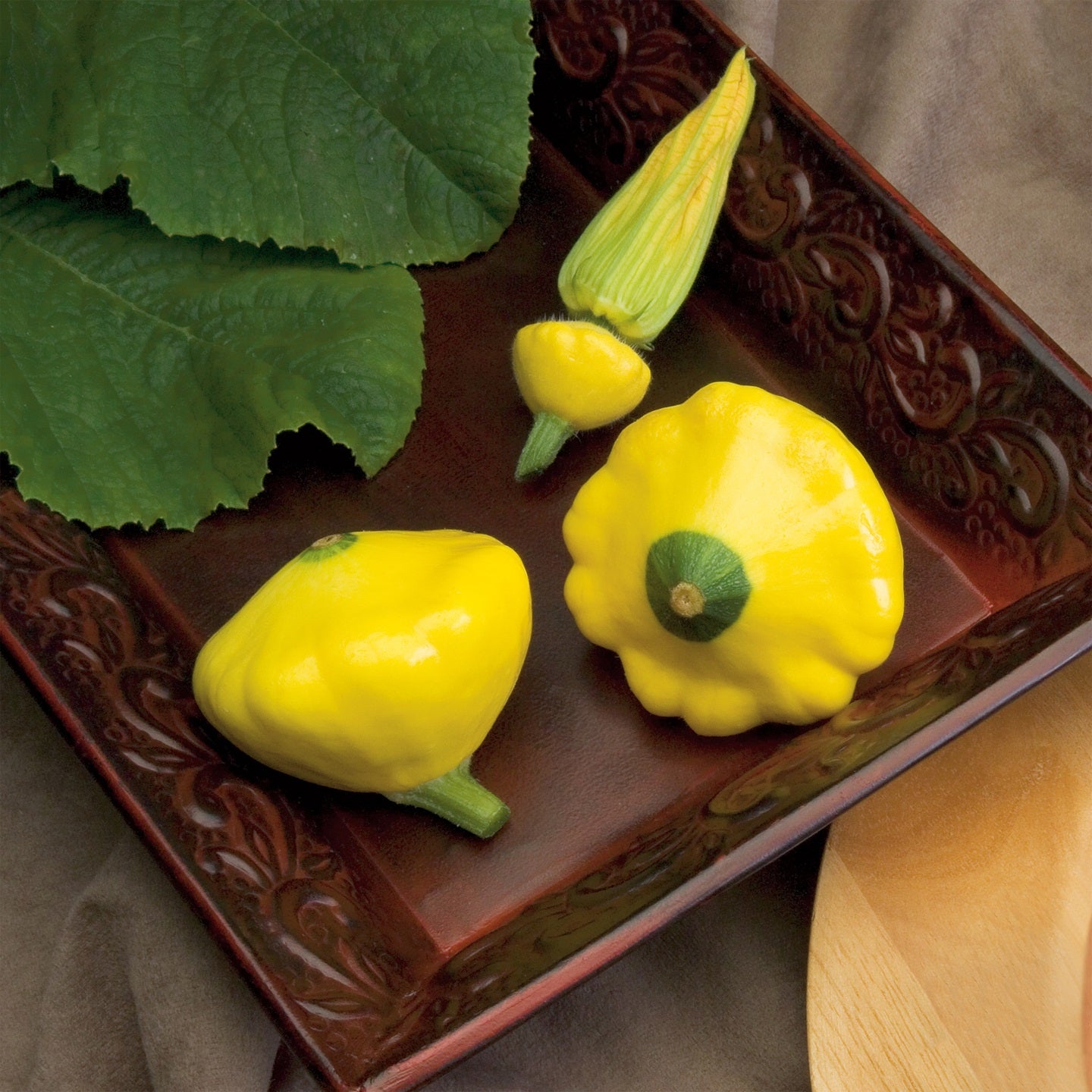 Hybrid Scallop Squash - Sunburst