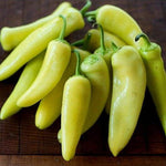 Hybrid Hot Banana/Hungarian Pepper - Super Hot Hungarian