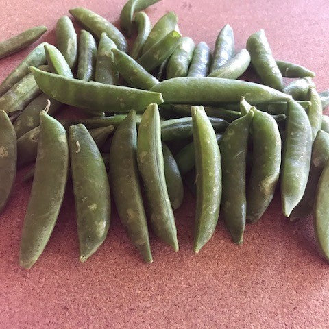 OP Snap Pea - Super Sugar Snap
