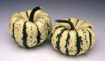 OP Delicata Squash - Sweet Dumpling