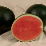 Hybrid Triploid (Seedless) Sugar Baby Rind Watermelon - Sweet Gem