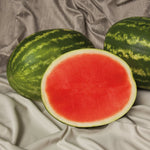 Hybrid Triploid (Seedless) Crimson Sweet Rind Watermelon - Sweet Polly