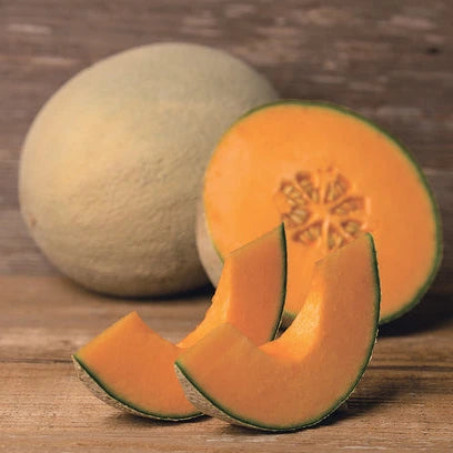 Hybrid Cantaloupe - Sweet Sunrise
