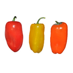 Hybrid Multicolored Mini Pepper - Sweetie Mix