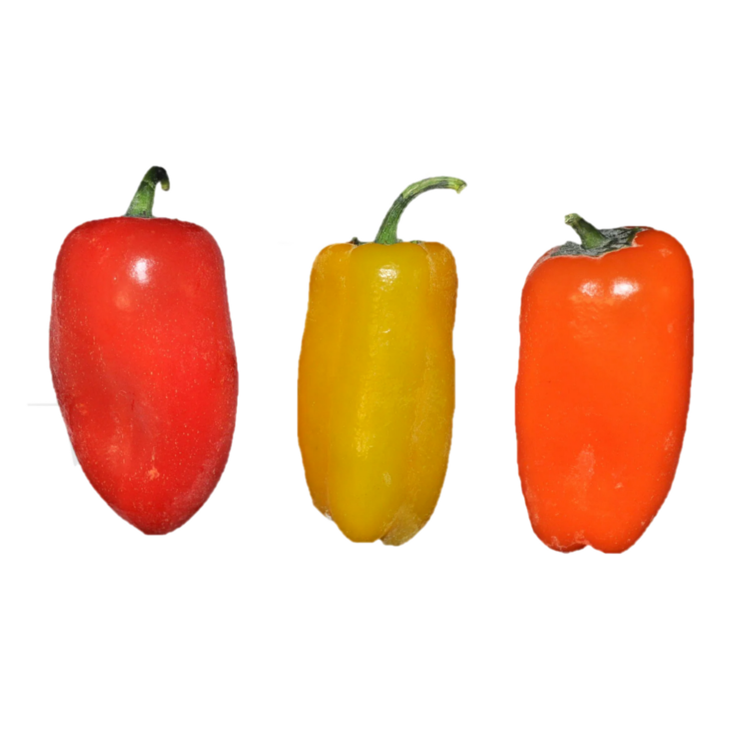 Hybrid Multicolored Mini Pepper - Sweetie Mix