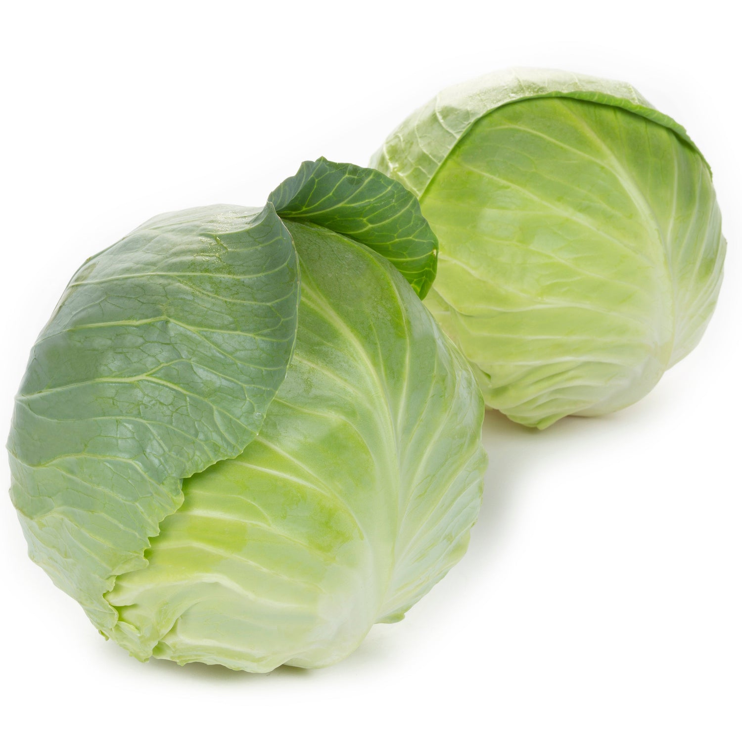 Hybrid Green Cabbage - Swingma RZ