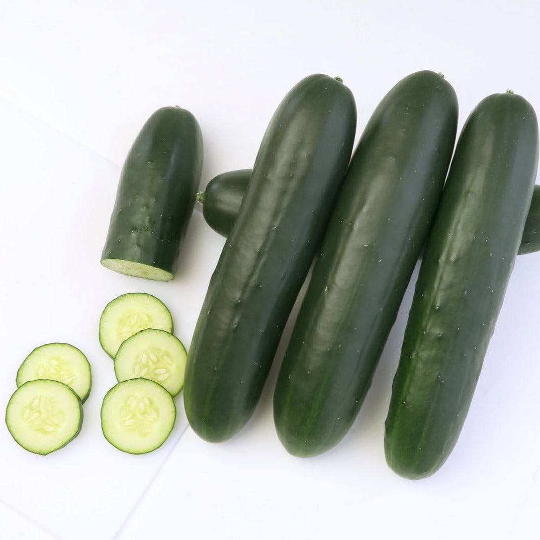 Hybrid Slicing Cucumber - TSX-CU201AS