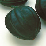 Hybrid Acorn Squash - Table Ace