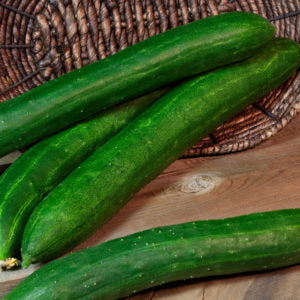 Hybrid Slicing Cucumber - Tasty Green