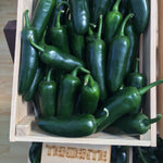Hybrid Jalapeno Pepper - Teniente