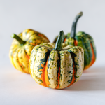 Hybrid Acorn Squash - Thriller