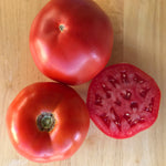 Hybrid Round Red Tomato - Thunderbird