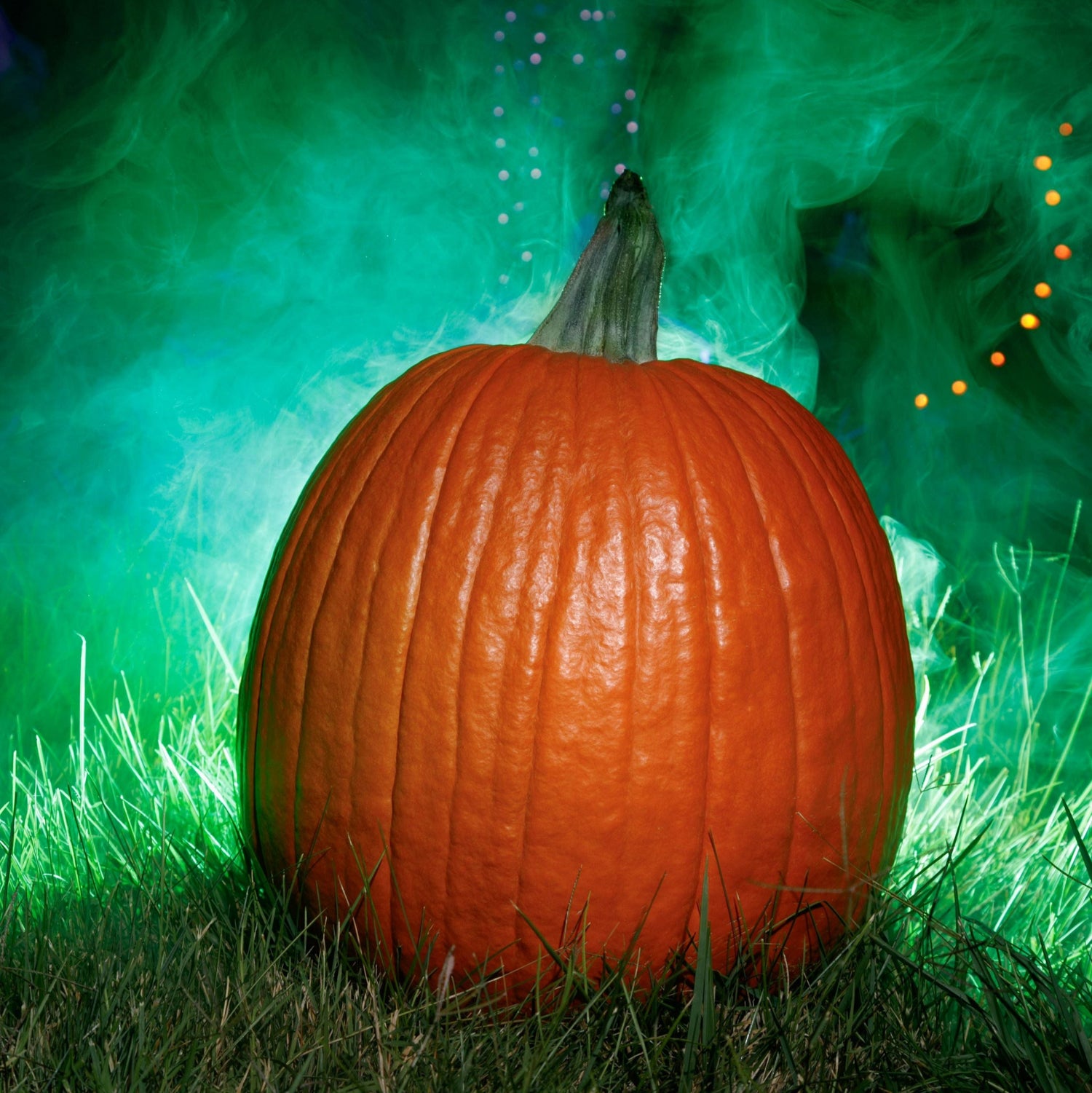 Hybrid Carving Pumpkin - Tons of Fun