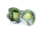Hybrid Green Cabbage - Topma RZ