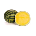 Hybrid Triploid (Seedless) Yellow Flesh Watermelon - Tropical Honey RZ