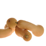 Hybrid Butternut Squash - Ultra