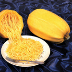 OP Spaghetti Squash - Vegetable Spaghetti