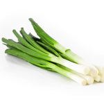 OP Bunching Onion - Velocity