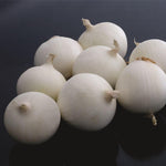 Hybrid Intermediate Day White Onion - Virgin