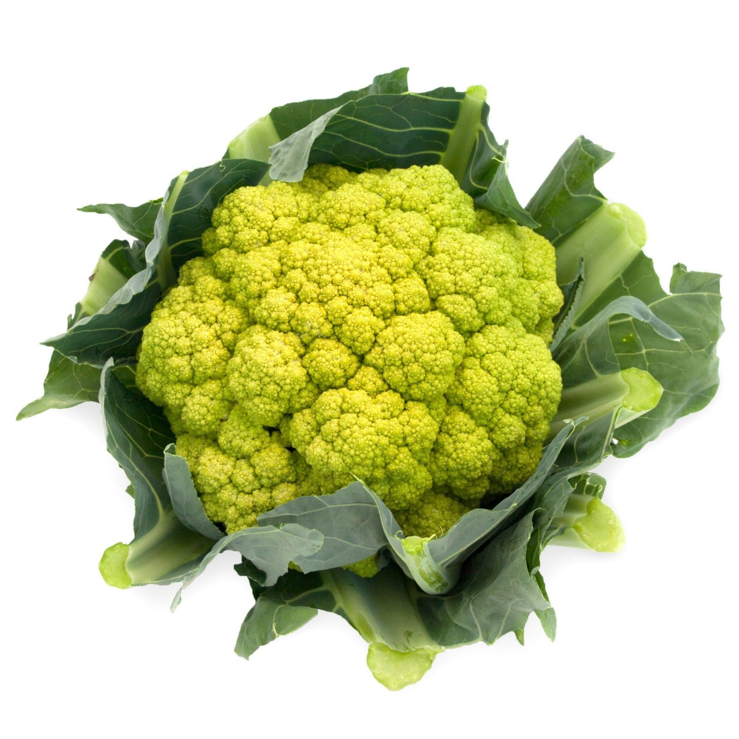 Hybrid Green Cauliflower - Vitaverde RZ