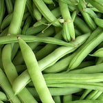 OP Half Runner Bean - Volunteer Half Runner