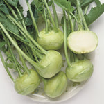 Hybrid Kohlrabi - Winner Improved