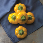 Hybrid Yellow Mini Pepper - Yes To Yellow!