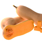 Hybrid Butternut Squash - Yukon