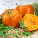 OP Heirloom Tomato - Striped German