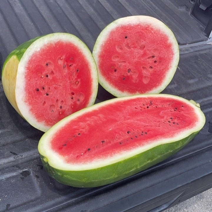 Hybrid Diploid (Seeded) Allsweet Rind Watermelon - Tidewater