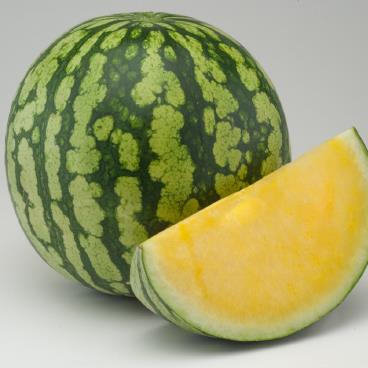 Hybrid Triploid (Seedless) Yellow Flesh Watermelon - 3521Y