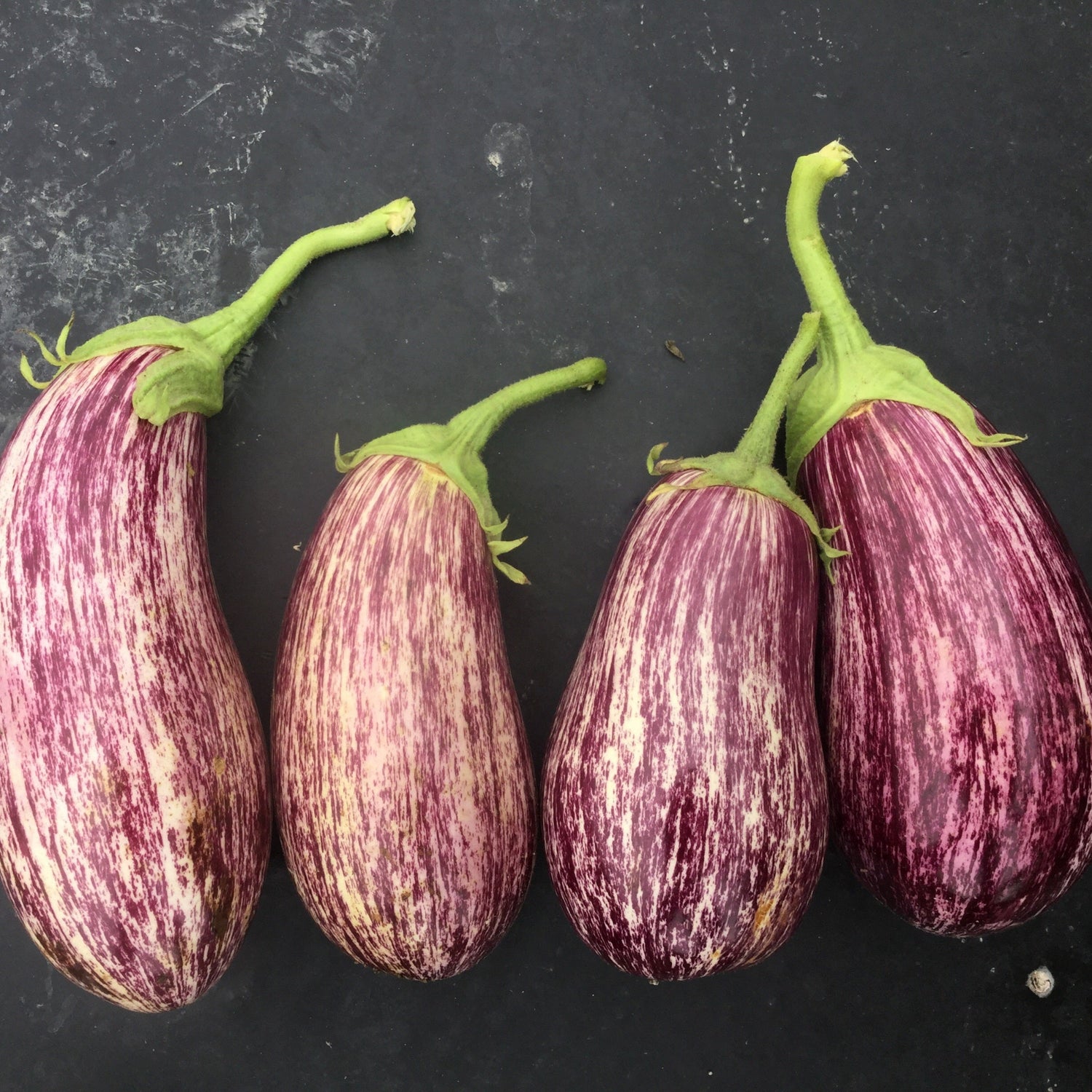 Hybrid Striped Italian Eggplant - Annina