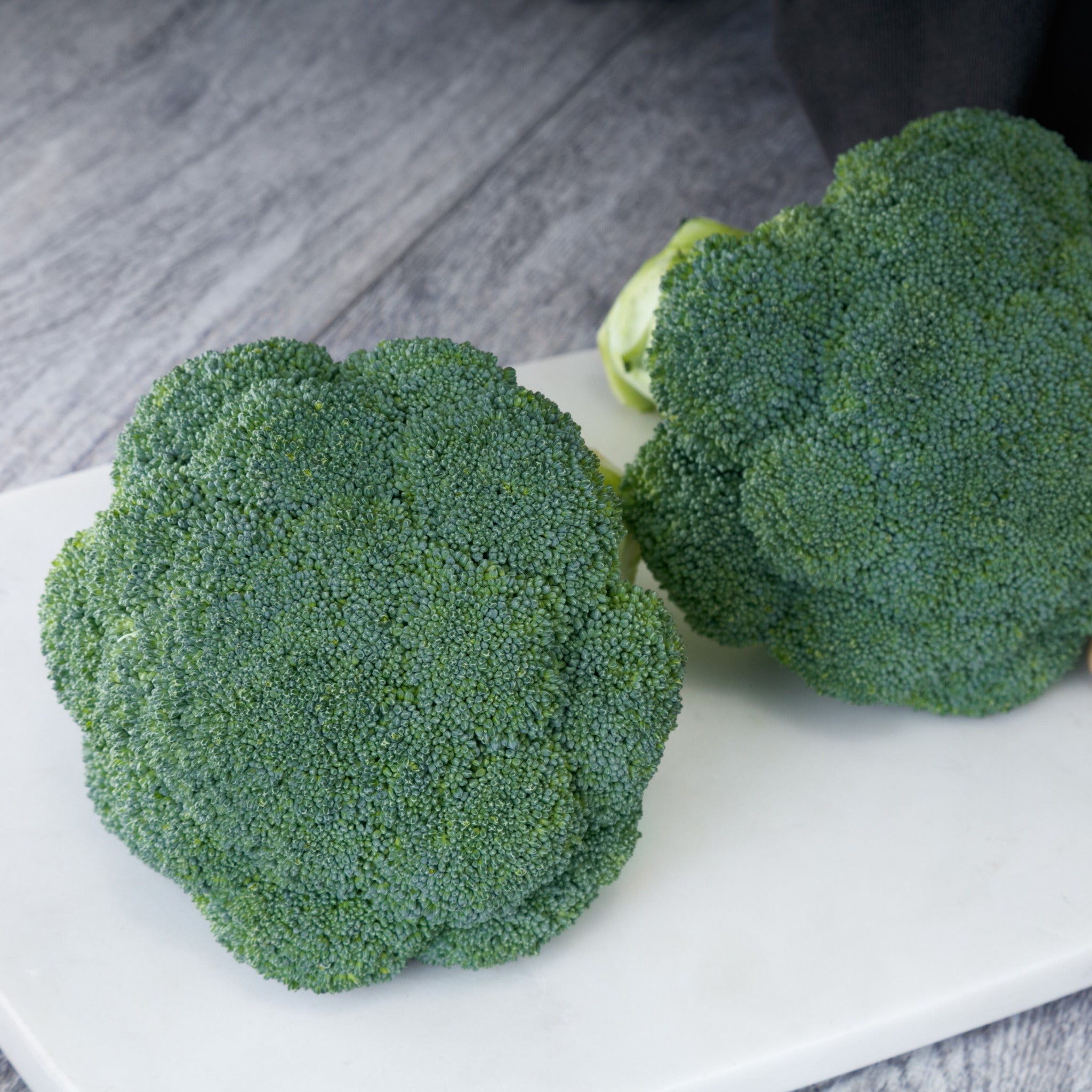 Hybrid Broccoli - Appalachian – Gowan