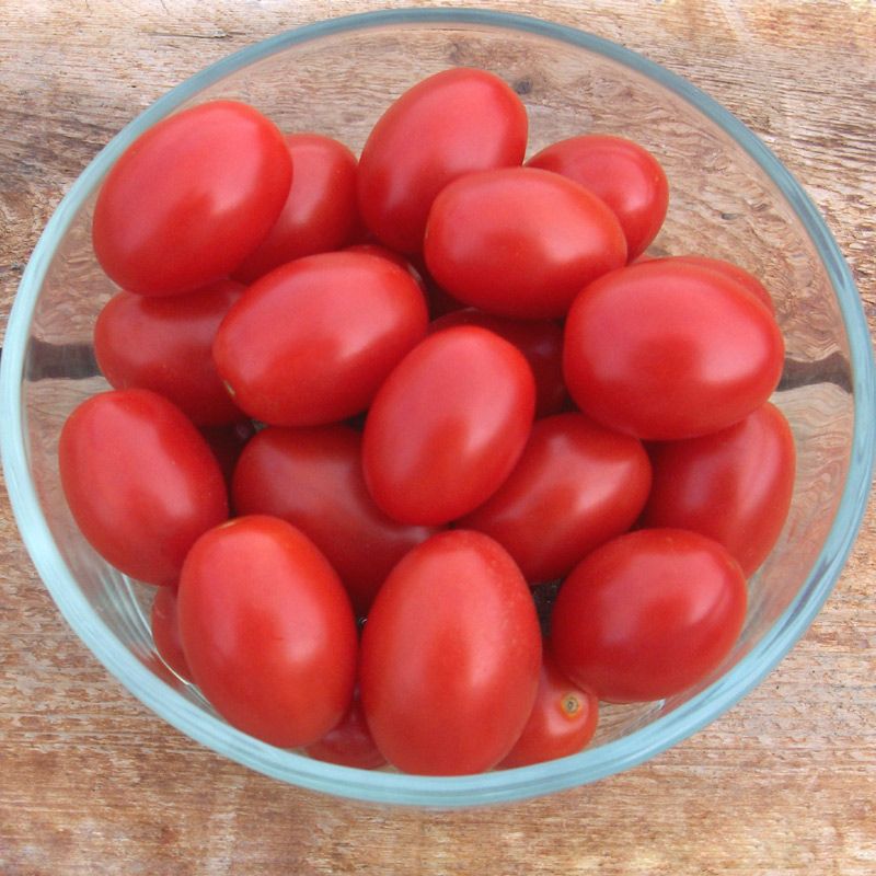 Hybrid Red Grape Tomato - BHN 784