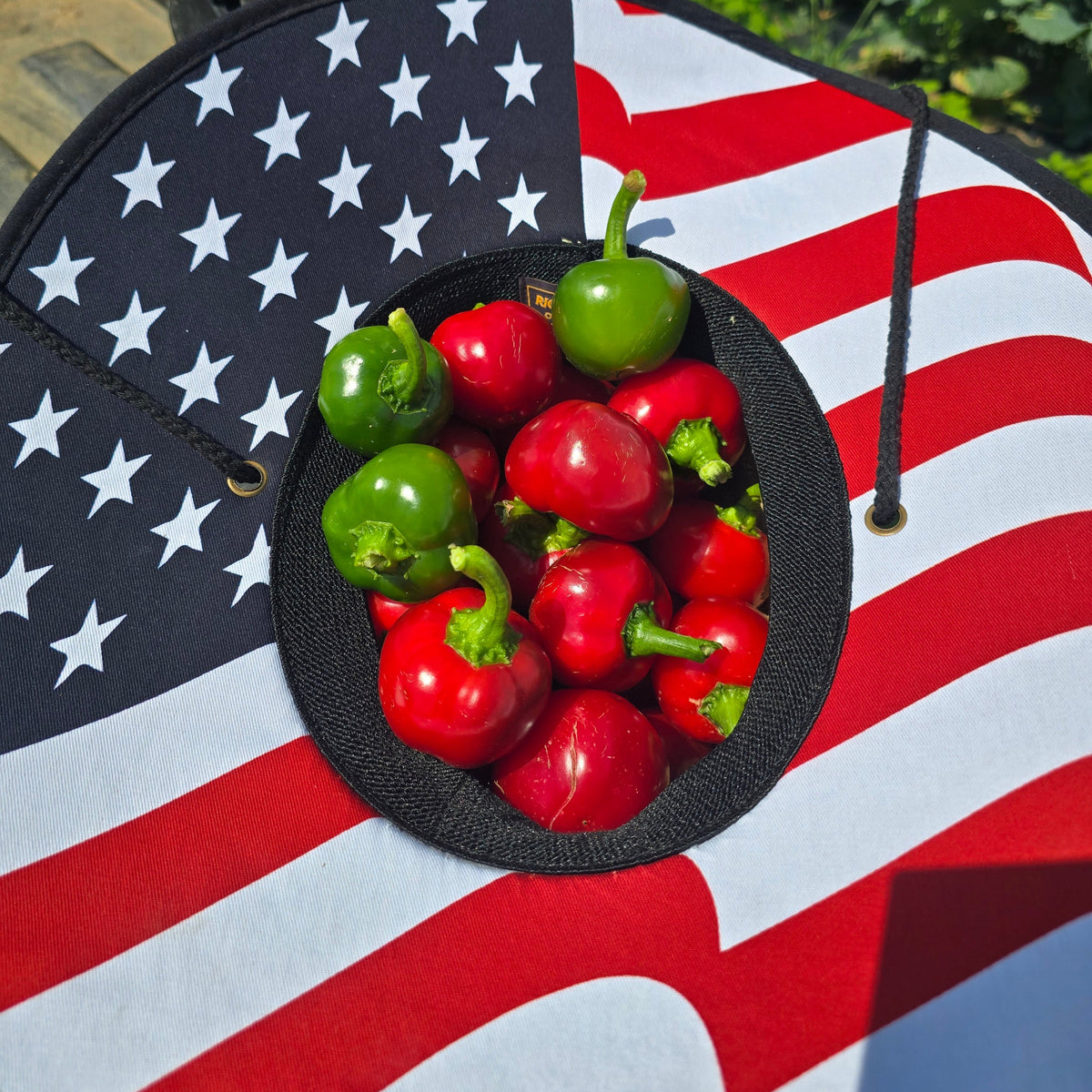 Hybrid Hot Cherry Pepper - BOS 425