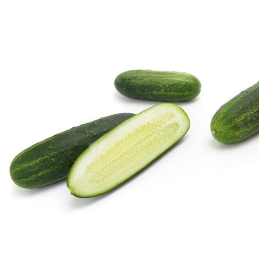 Hybrid Pickling Cucumber - Bowie RZ