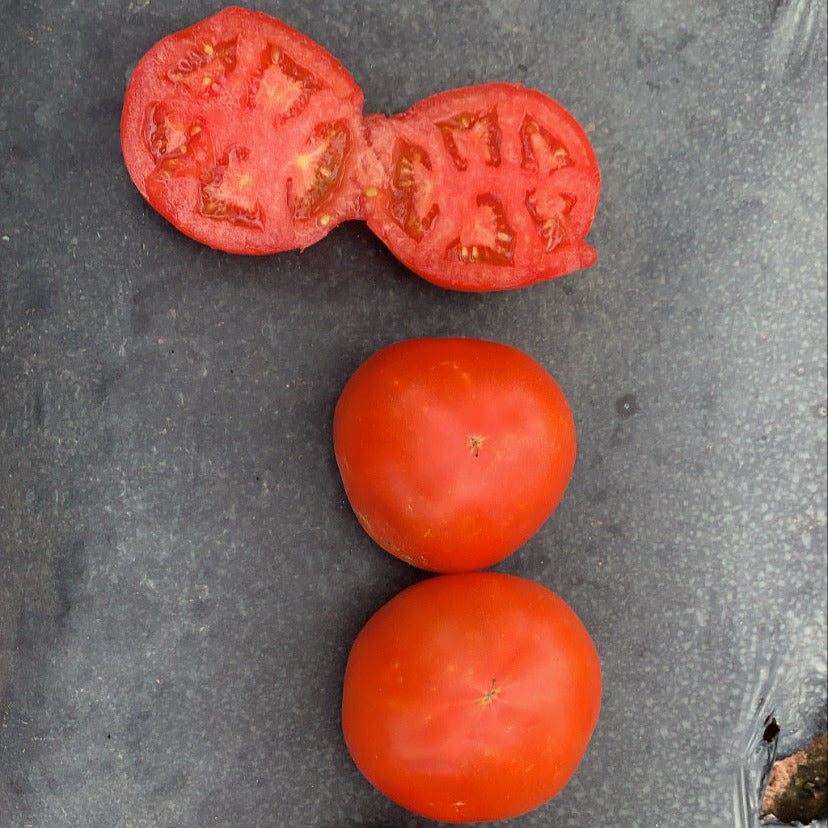 Hybrid Round Red Tomato - Carrie