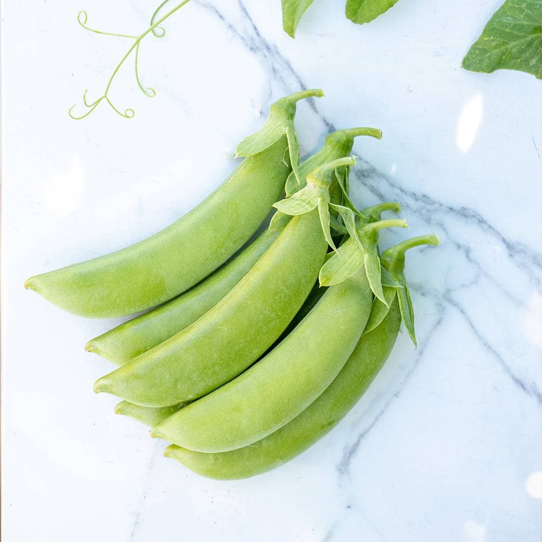 OP Snap Pea - Cascadia
