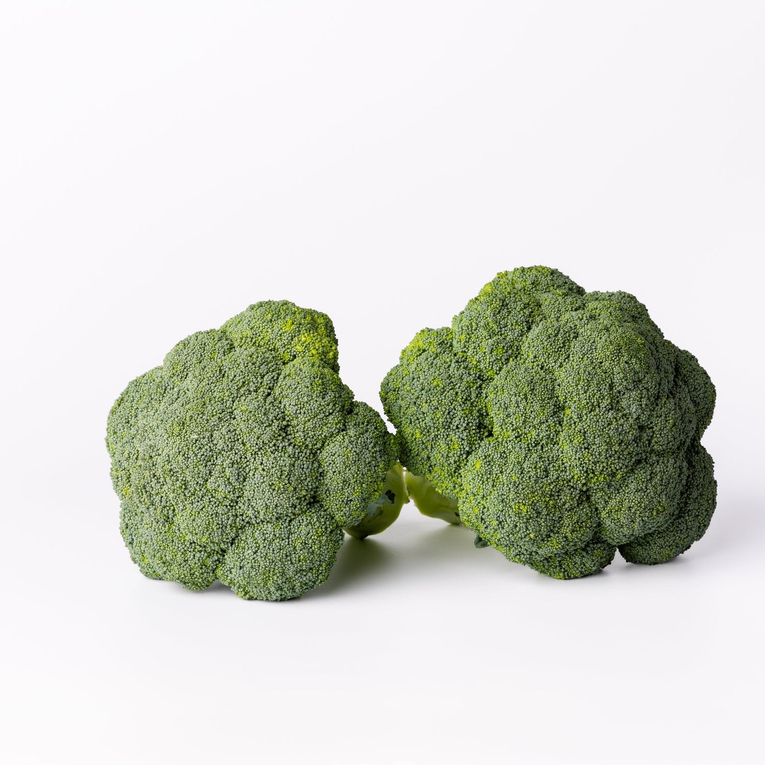 Hybrid Broccoli - Commonwealth