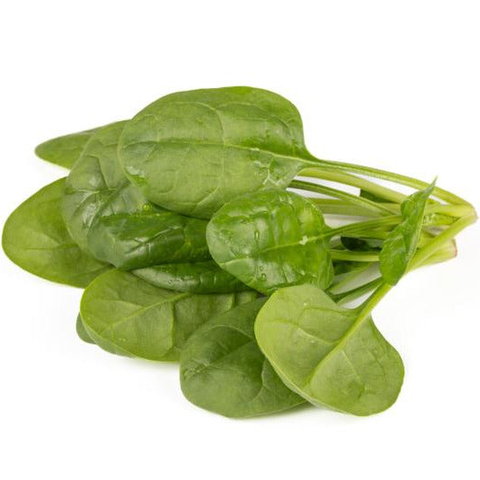 Hybrid Spinach - Diamondback RZ