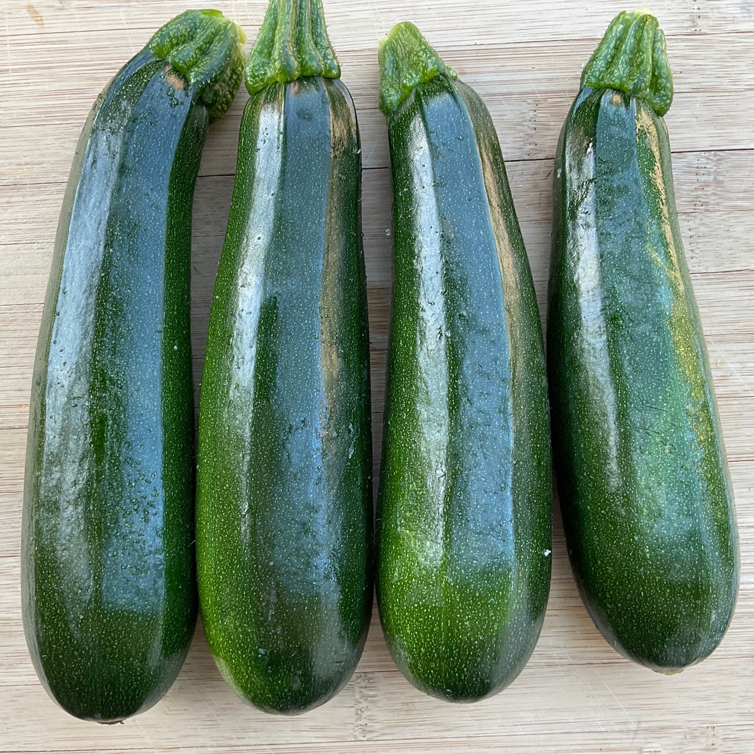 Hybrid Green Zucchini Squash - Dunja