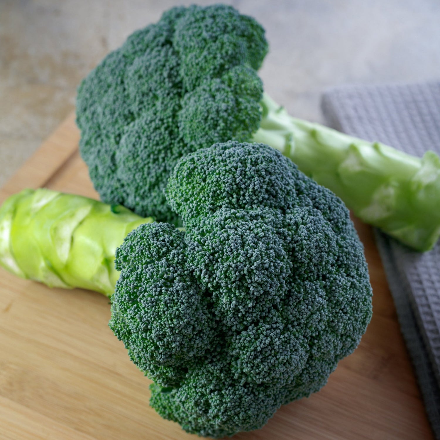 Hybrid Broccoli - Eastern Magic