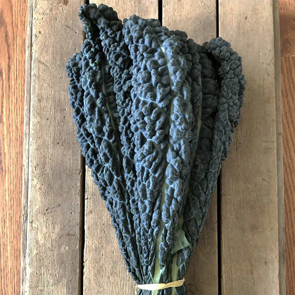 Hybrid Kale - Ebony