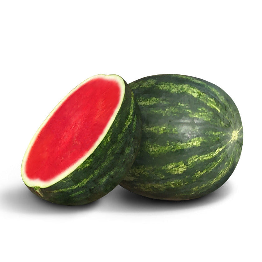Hybrid Triploid (Seedless) Crimson Sweet Rind Watermelon - Essence