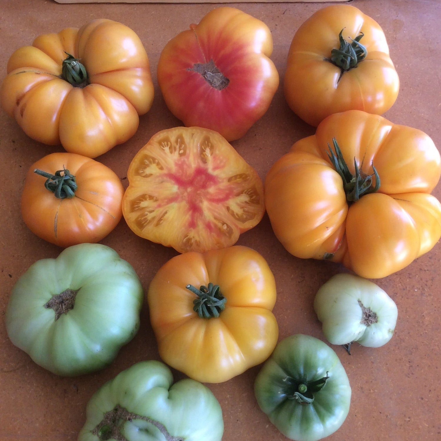 Hybrid Heirloom Type Tomato - GinFiz