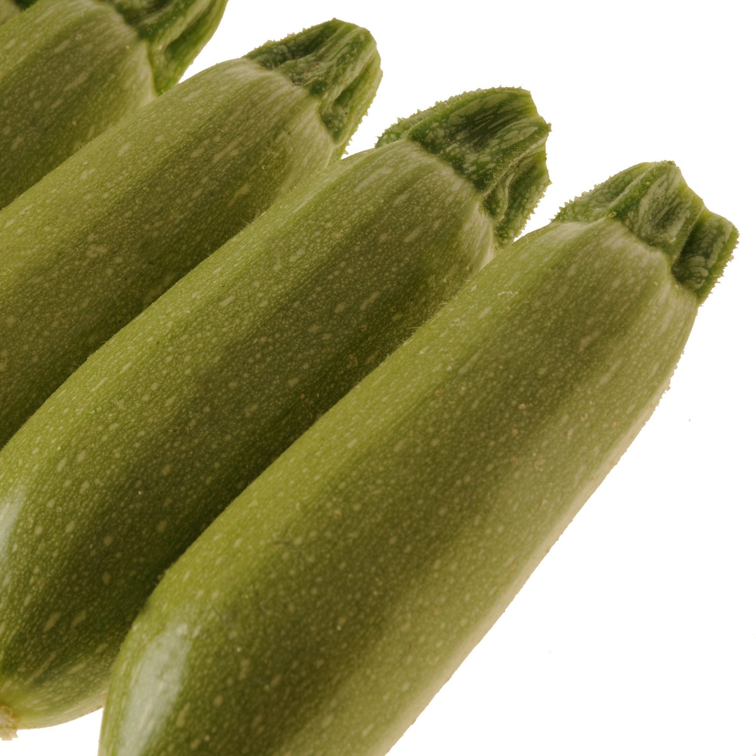 Hybrid Gray Zucchini Squash - Ishtar