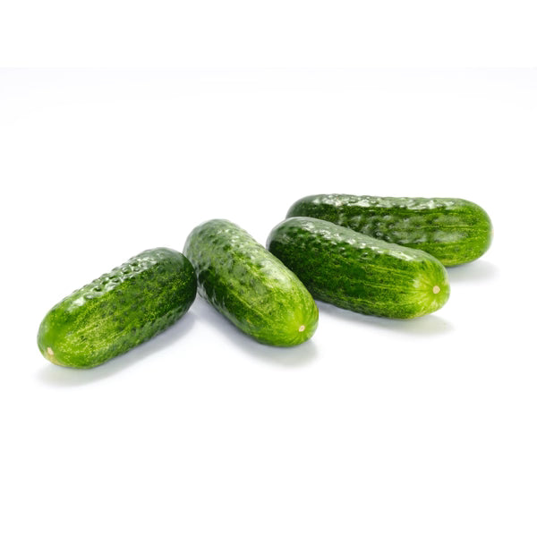 Hybrid Pickling Cucumber - Lennon RZ