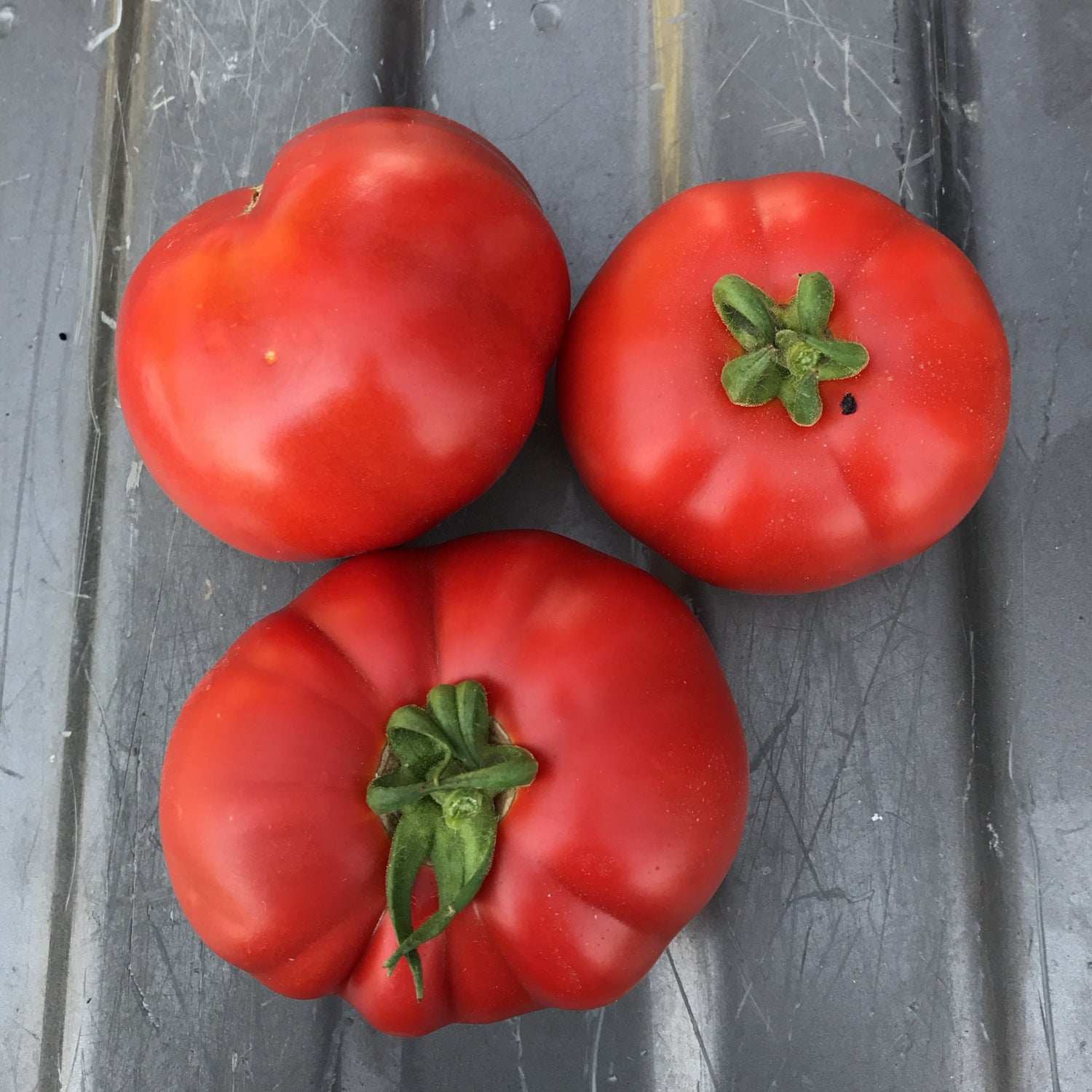 Hybrid Heirloom Type Tomato - Marsalato