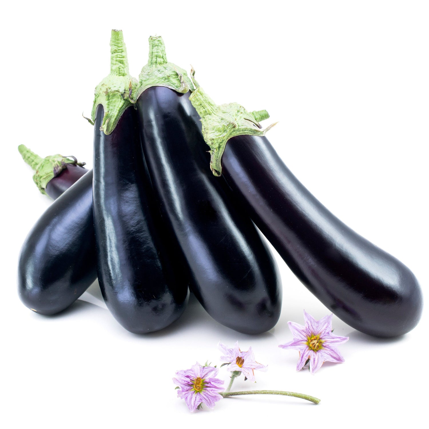 Hybrid Italian Eggplant - Megal