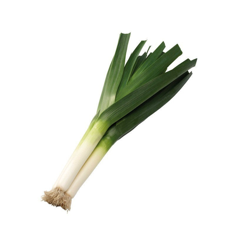 Hybrid Leek - Megaton